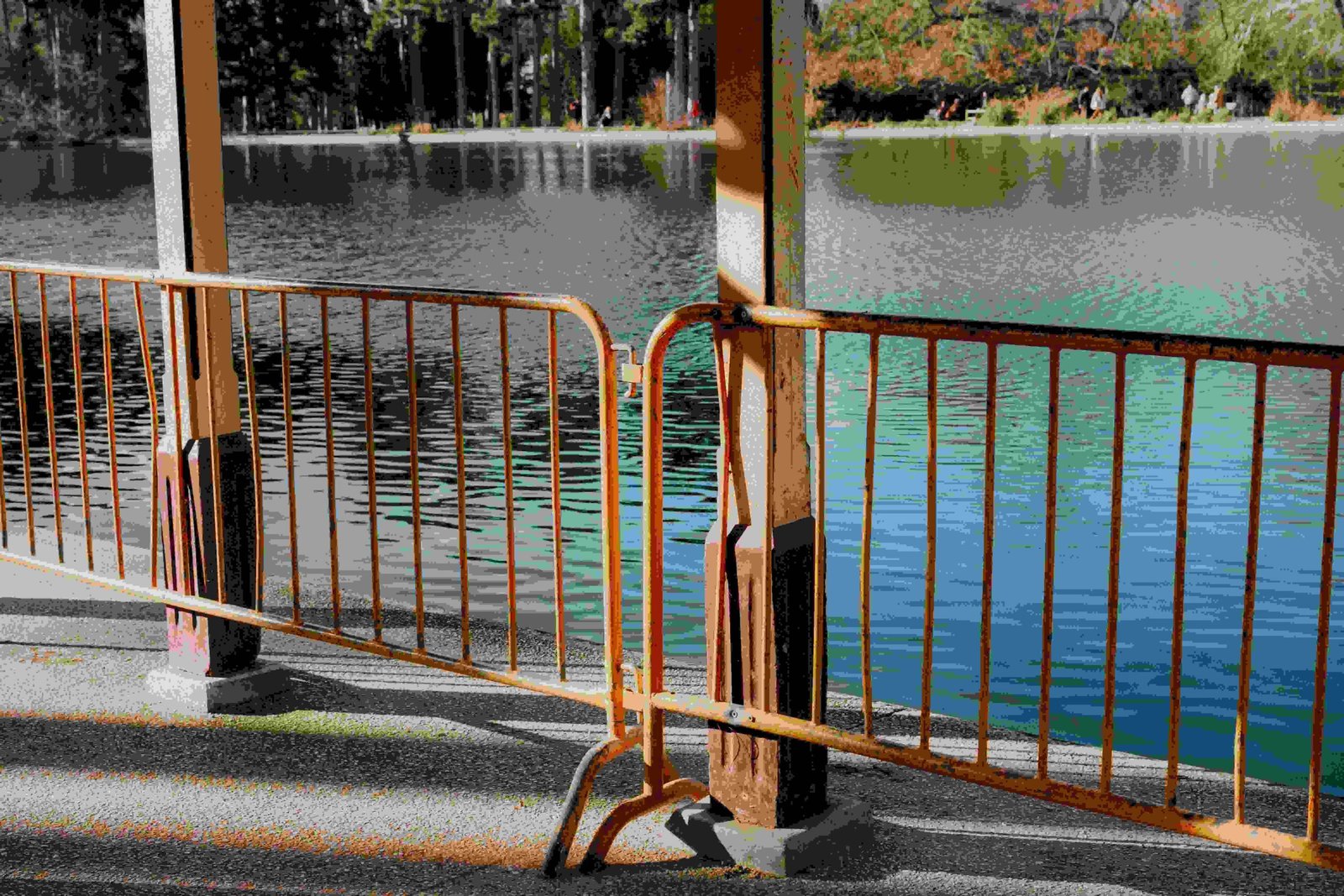 Temporary Pool Fence